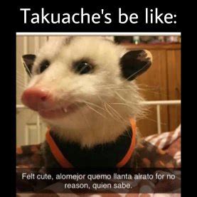 Explore tweets of takuache_cuh_memes @takuache_memes on twitter. Jaurk Vieyra - Quora