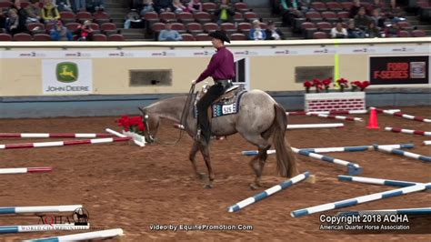 2018 Aqha Junior Trail Youtube