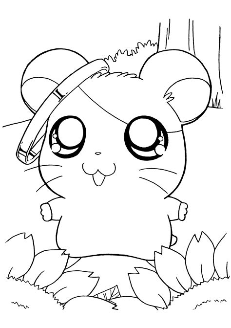 Coloring Page Hamtaro Coloring Pages 145