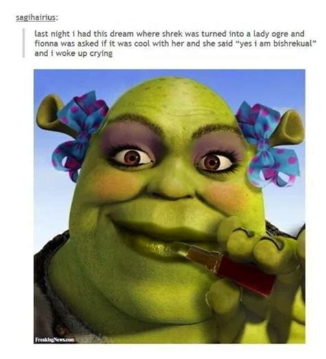Dank Memes Jokes Funny Pictures Shrek Memes