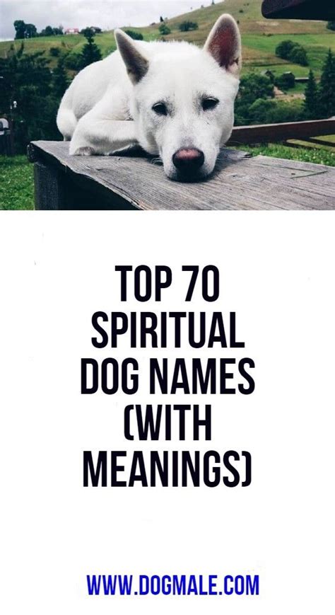 Top 70 Spiritual Dog Names With Meanings Dog Names Cute Names For