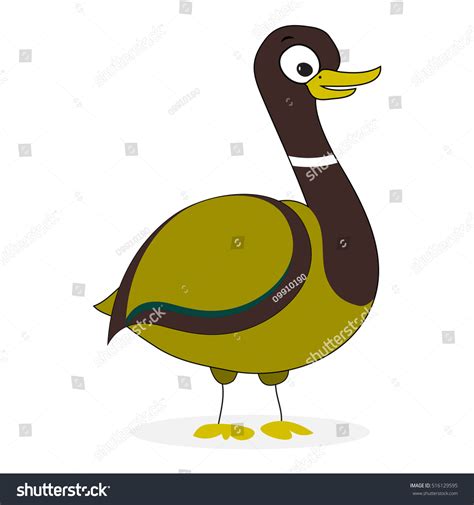 Wild Duck Cartoon Vector Isolated Duck Image Vectorielle De Stock