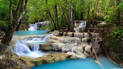 Share 69 Forest And Waterfall Wallpaper Latest Vn