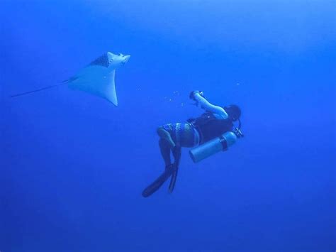 2 Tank Dive In Cancun Outguided