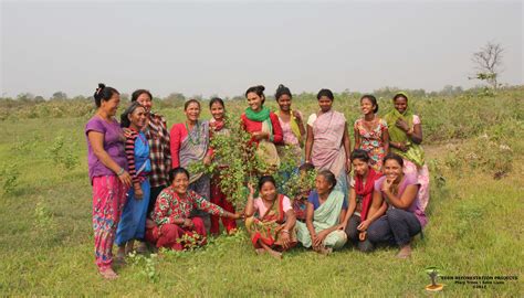 National Love A Tree Day Empowering Women In Nepal And Restoring
