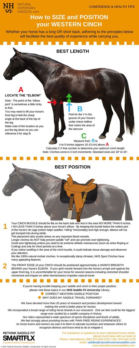 Western Saddle Placement Why Getting The Position Of Your Saddle Is So