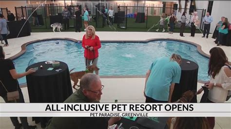 Pet Paradise resort opens in Greenville