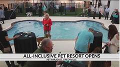 Uncover The Mystery Is Your Pet Paradise Open On New Years Day