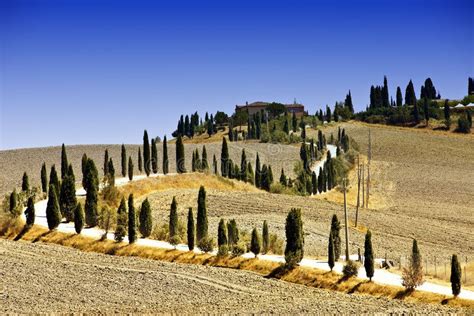 Hills Around Siena Typical Sienese Panorama Area Called Crete Senesi