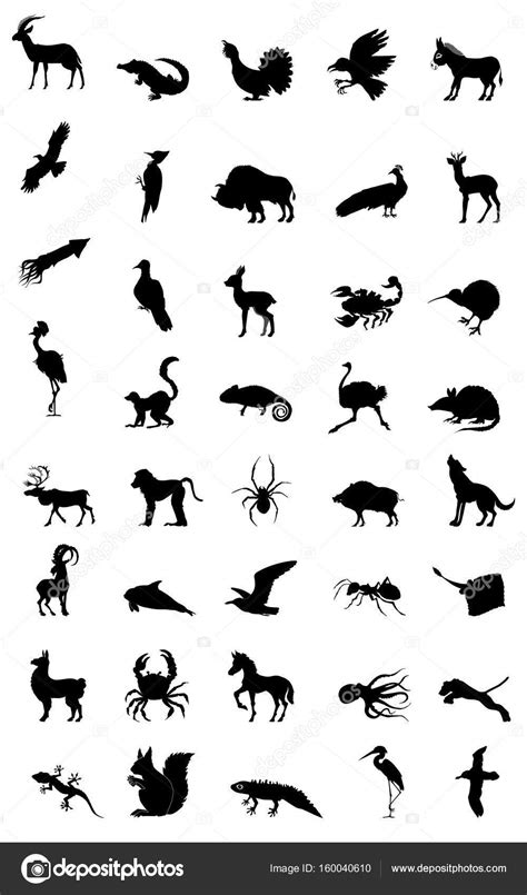 World Of Animal Stock Vector Image By ©perysty 160040610