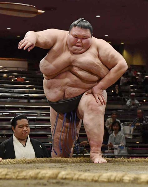 Sumo 101 Large Rikishi The Japan Times