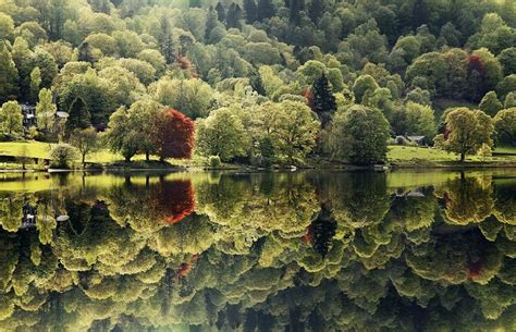 Completely still water reflection: 