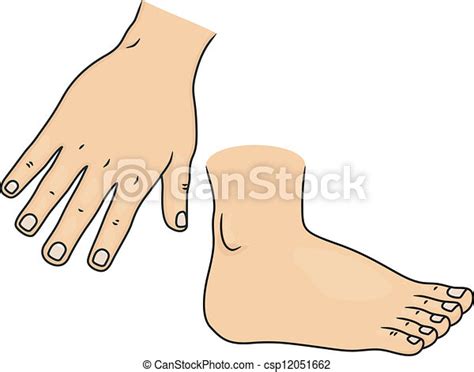 Clip Art Vector Of Hand And Foot Body Parts Illustration Of Hand And