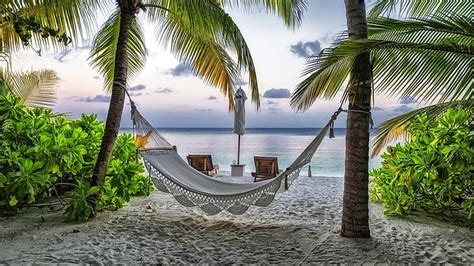 Online Crop Hd Wallpaper Relax Hammock Palm Tree Tropics Sand Resort Vacation
