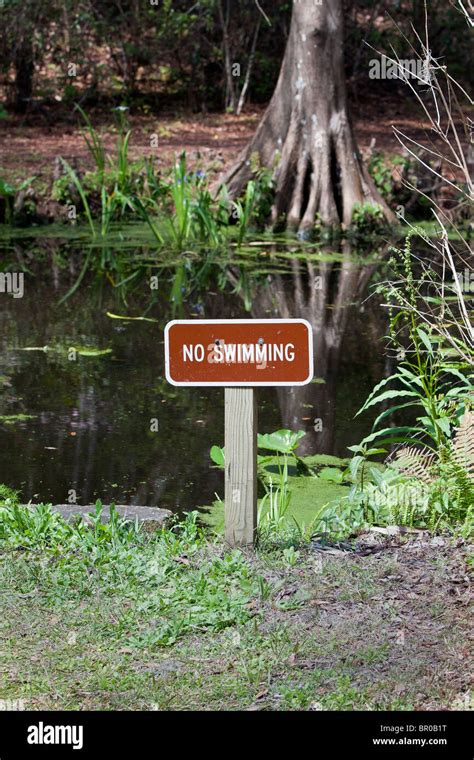 No Swimming Sign Isn A Florida Park Stock Photo Alamy