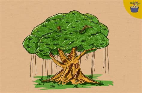 Pohon Beringin Merupakan Lambang Sila Ke Arti Dan Makna Lambang Dan