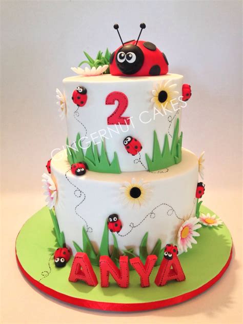 Ladybug And Daisies Cakecentral Com