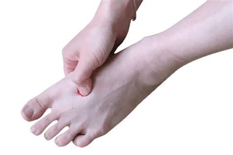 Acupressure Point Great Surge Lv3 Liver 3 Tai Chong