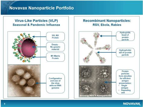 To create their vaccine, novavax researchers started with a modified spike gene. Novavax - Buy The Dip For The Long Term - Novavax, Inc ...