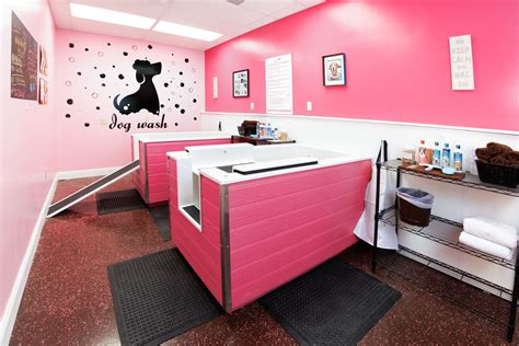 Self Serve, Self Washing Dog Wash Station In Wichita At Woof Gang