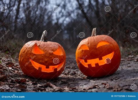 Halloween Pumpkins Burning In Forest At Night Stock Photo Image Of