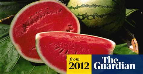 Salmonella Outbreak Linked To Watermelons Health The Guardian