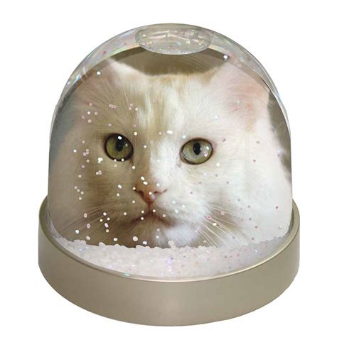 Check out our cats snow globe selection for the very best in unique or custom, handmade pieces from our ornaments & accents shops. Promotional Gorgeous White Cat Photo Snow Globe Waterball ...