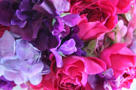 Purple carnations flowers deep purple, tie dye dendrobium orchids, pool blue textured filler flower pack, mondial white rose. The Flower Magician: Hot Pink & Deep Purple Wedding Bouquet
