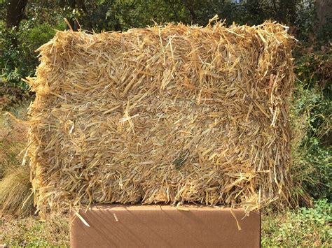 Barley Straw Bulk Bale Makes About 5 Bags Barley Straw Water Garden