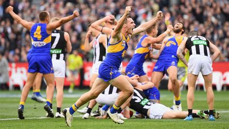 The first finals edition of @barrettdamian's . AFL Grand Final West Coast Eagle Luke Shuey wins Norm ...