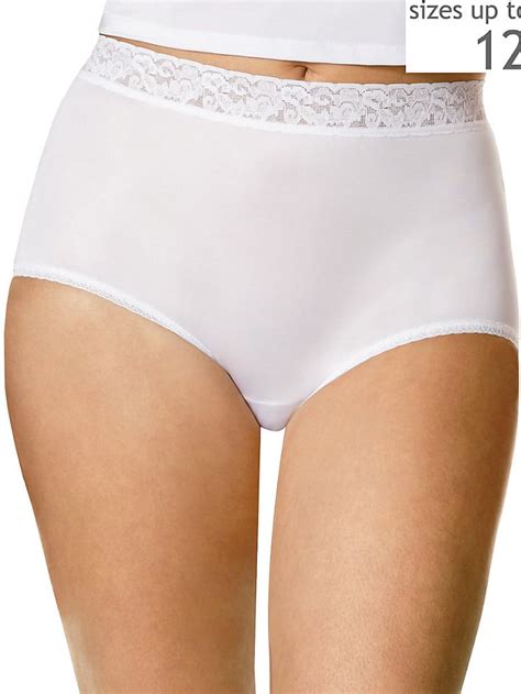 Hanes Womens Plus Nylon Brief Panty 3 Pack