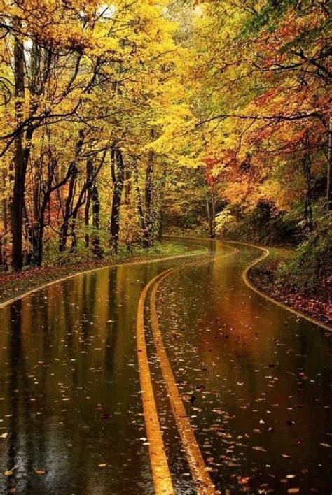 100 Pleasant Rainy Day In 2020 Fall Photography Nature Landscape