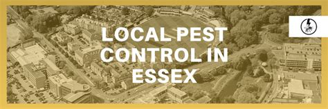 Local Pest Control In Essex Eraserpest Cambridge Essex Suffolk