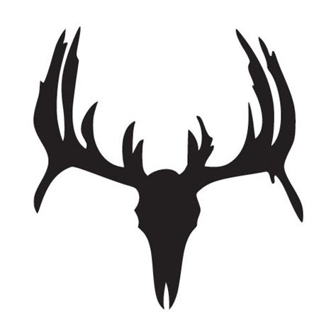 Whitetail Deer Skull Drawings Clipart Best