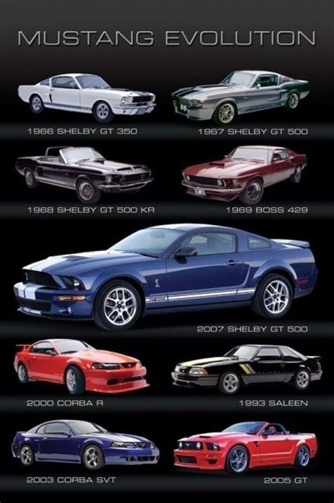 Evolution Mustang Ford Mustang Muscle Cars Mustang