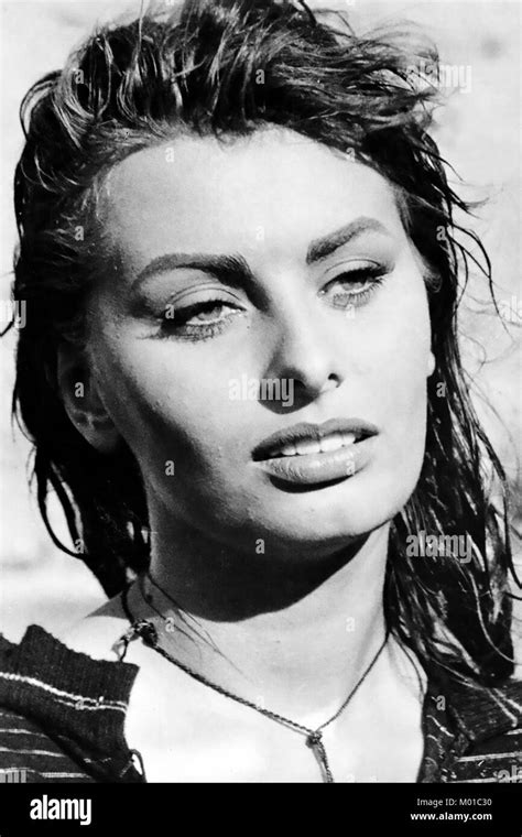 Sophia Loren Italian Film Actress About Stock Photo Alamy