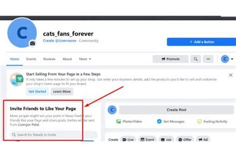 How To Invite All Friends On Facebook To Like A Page