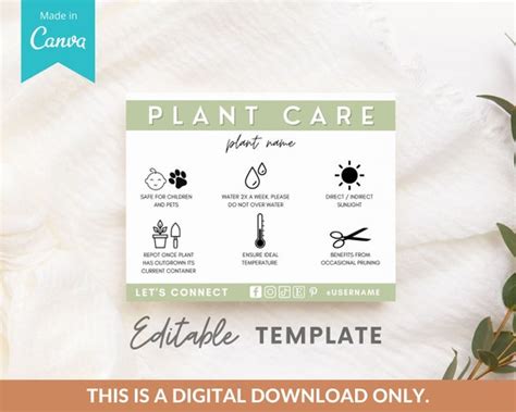 Corjl Plant Care Card Template Diy Editable Plant Care Guide Australia