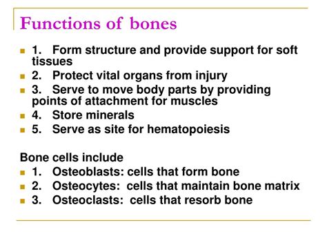 Ppt Background Of Anatomy And Physiology Powerpoint Presentation