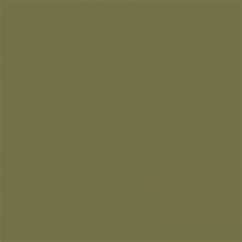 Light Olive Green Paint Little Craft