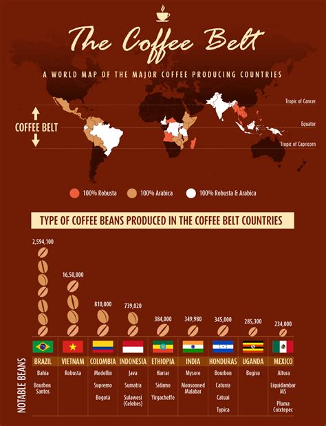 So, where does coffee come from? The Coffee Belt: Where Does Your Coffee Come From ...