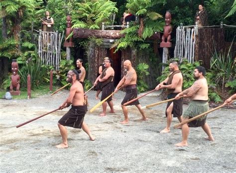 Tamaki Maori Village NZL Ferienwohnungen Ferienhäuser und mehr FeWo direkt