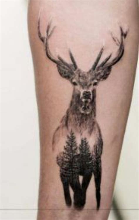 Pin By Alejandro Escobar On Tattoos Deer Tattoo Designs Deer Tattoo