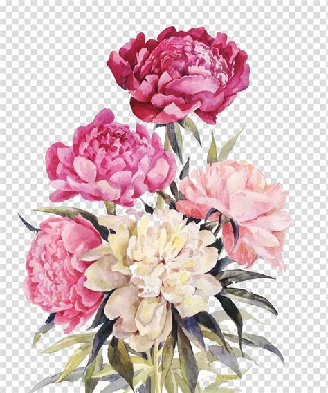 Peony Flower Bouquet Illustration Pink And Red Flowers Pink And White