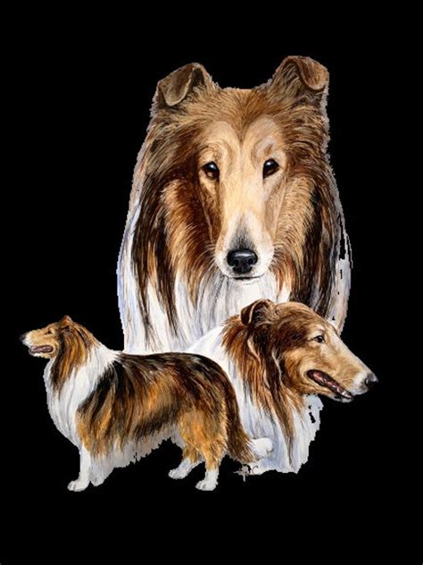 Rough Collie Lassie Dog Png File Digital Download Etsy