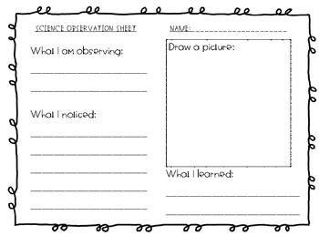 Science Observation Worksheet Elementary