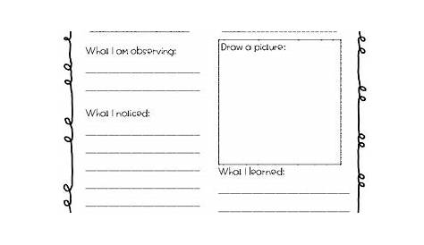 Science Observation Sheet by Voracious Teaching | TpT