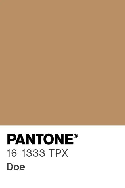 Pantone® Europe Pantone® 16 1333 Tpx Find A Pantone Color Quick
