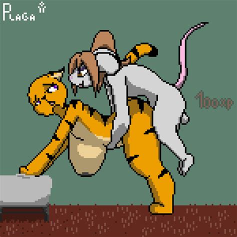 Rule 34 All Fours Animated Bedroom Doggy Style Feline