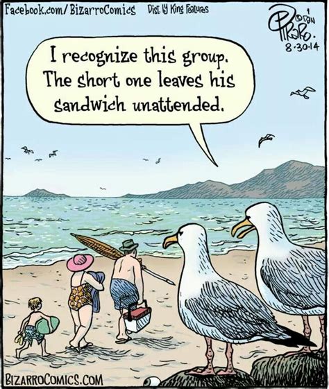 Seagull Humor Bizarro Comic Funny Cartoon Pictures Cartoon Jokes